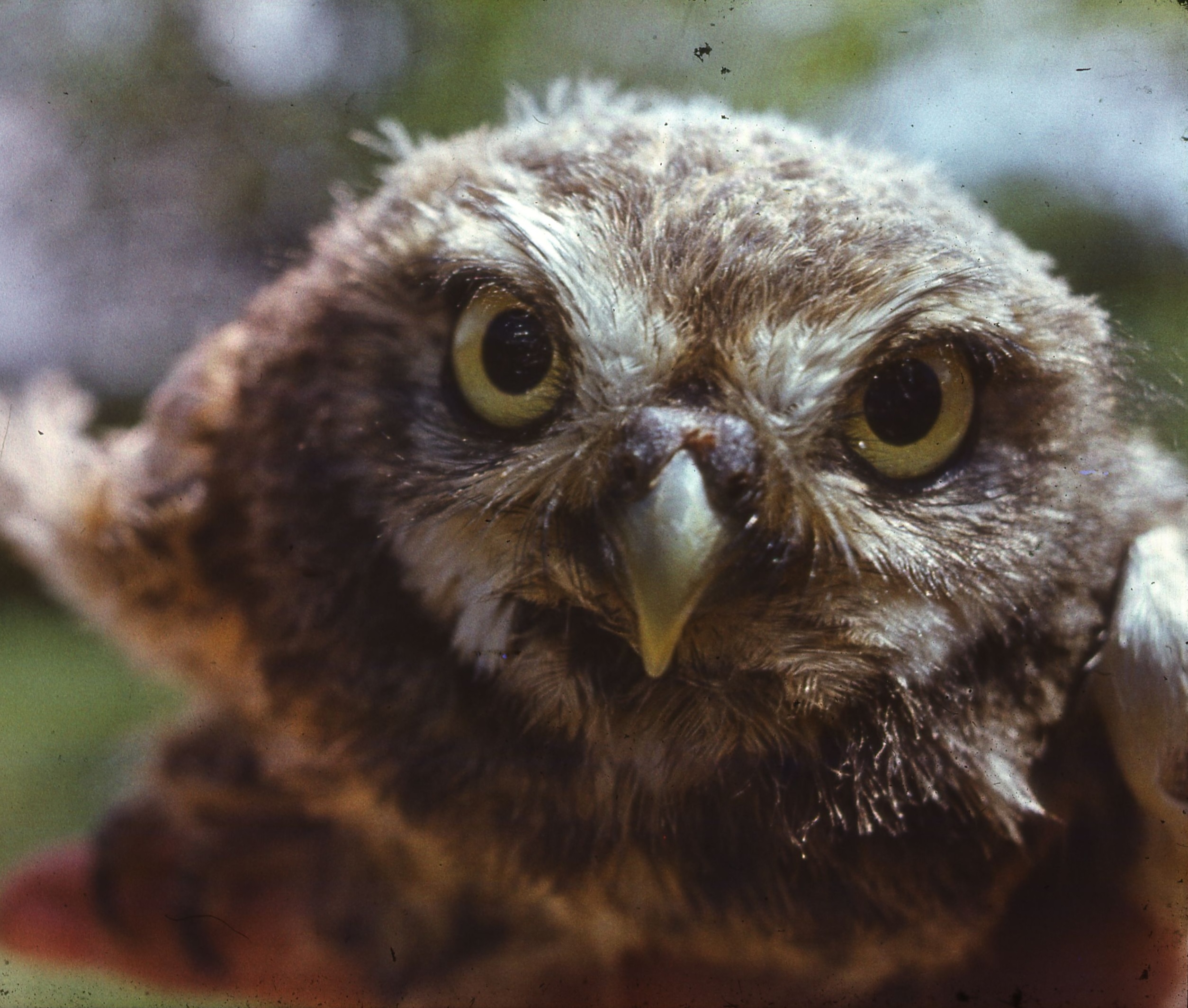 Profile photo of Max Long's Blog